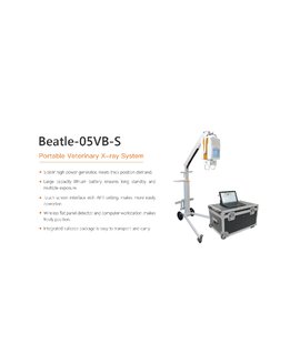 BEATLE 05VB S